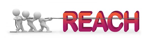 REACH_Service